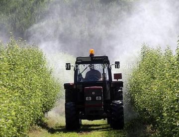 Foto 1 di 1 - Terreno agricolo in Vendita in Via Casale sul Sile 40 a Mogliano Veneto