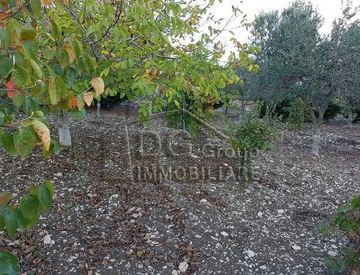 Foto 1 di 4 - Terreno edificabile in Vendita a Alcamo
