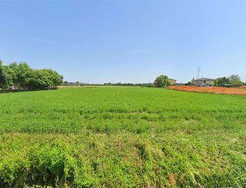 Foto 1 di 3 - Terreno edificabile in Vendita in Via Fossalunga 15 a Polverara