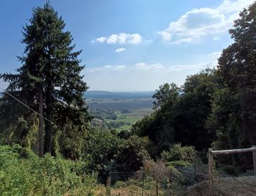 Giardino - Appartamento in Vendita in Strada broglina a Bollengo