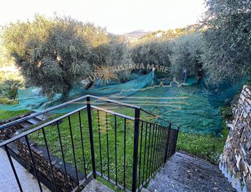 Giardino - Casa bifamiliare, trifamiliare in Vendita in Via Poggio 5 a Diano San Pietro