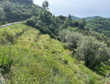 Foto 1 di 11 - Rustico, casale in Vendita in Frazione Verrandi 9 a Ventimiglia