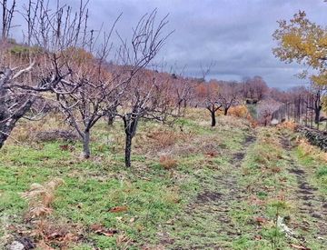 Foto 1 di 32 - Terreno agricolo in Vendita in Strada Milia a Biancavilla