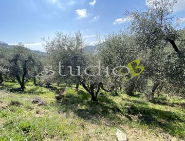Giardino - Rustico, casale in Vendita in Strada Provinciale 62 a Perinaldo