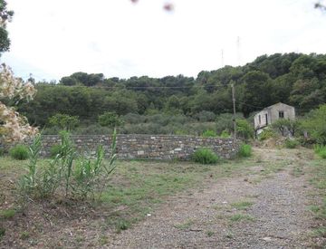 Foto 1 di 18 - Terreno agricolo in Vendita a San Bartolomeo al Mare