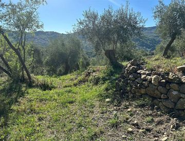 Foto 1 di 17 - Terreno agricolo in Vendita in Salita Costarossa a Imperia