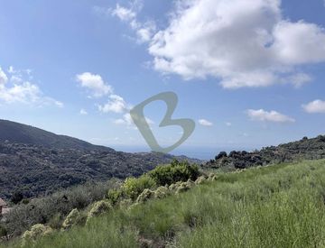 Vista - Rustico, casale in Vendita in Strada Tuvu a Vallebona