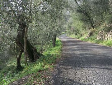 Foto 1 di 27 - Terreno agricolo in Vendita in Via Merea a Diano Castello