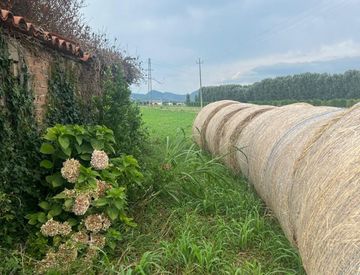 Giardino - Rustico, casale in Vendita in Via Albere a Monselice