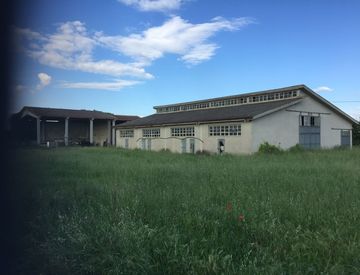 Facciata - Rustico, casale in Vendita in Via de gasperi a Nogarole Rocca