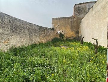 Foto 1 di 4 - Rustico, casale in Vendita a Alcamo