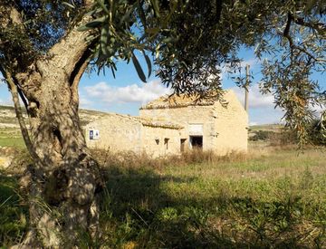 Giardino - Casa indipendente in Vendita in Strada Statale 194 a Modica