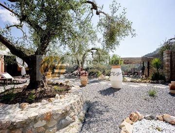 Giardino - Casa indipendente in Vendita in Strada provinciale n. 62 a Perinaldo