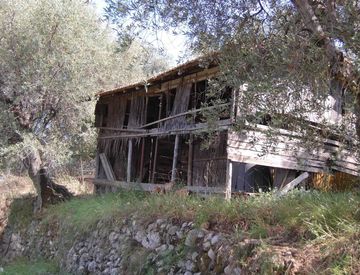 Foto 1 di 8 - Terreno agricolo in Vendita in zona Seglia San Bernardo a Ventimiglia