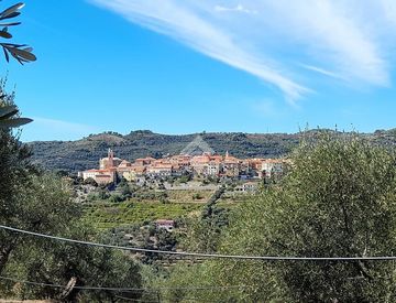 Foto 1 di 33 - Terreno edificabile in Vendita in Via Poggio a Diano San Pietro