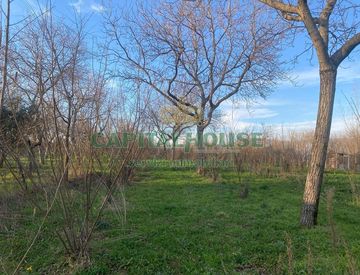 Foto 1 di 3 - Terreno agricolo in Vendita in zona Centro a Saviano