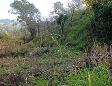 Foto 1 di 5 - Terreno agricolo in Vendita in Strada Cannavaira a San Biagio della Cima