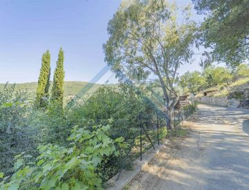 Giardino - Rustico, casale in Vendita a Seborga