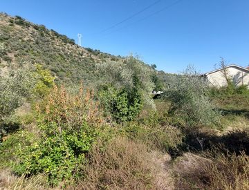 Foto 1 di 25 - Terreno edificabile in Vendita in Strada Provinciale a Pietrabruna