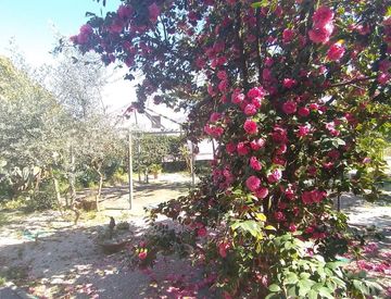 Giardino - Trilocale in Affitto in Via Malacarne a San Gennaro Vesuviano