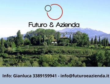 Vista - Ristorante in Vendita in Via Betulla a Sona