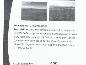 Foto 1 di 1 - Terreno agricolo in Vendita in linguaglossa a Linguaglossa