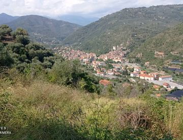 Foto 1 di 7 - Terreno agricolo in Vendita a Dolceacqua