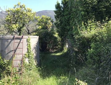 Giardino - Rustico, casale in Vendita a Perinaldo