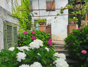 Giardino - Casa indipendente in Vendita in campagna a Pigna