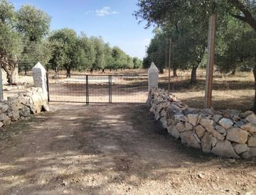 Giardino - Rustico, casale in Vendita in Viale Pandolfelli a Andria
