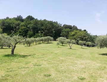 Giardino - Casa indipendente in Affitto in Via Lungomonte a Santa Maria a Monte