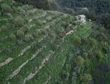 Foto 1 di 6 - Terreno agricolo in Vendita in Via delle Otto Case 94 a Ventimiglia