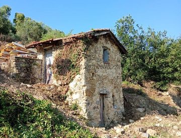 Foto 1 di 22 - Rustico, casale in Vendita a Vallebona