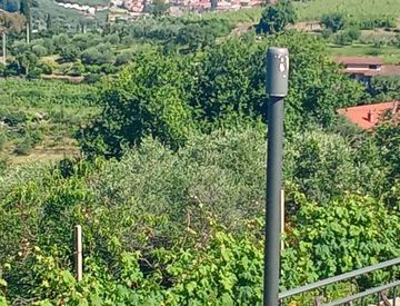 Foto 1 di 6 - Terreno agricolo in Vendita in Via Rebaudi a Diano Castello