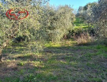 Foto 1 di 23 - Terreno agricolo in Vendita in zona Ventena a Montevarchi