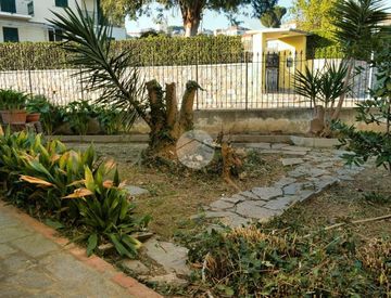 Giardino - Casa indipendente in Vendita in Via Caduti di Nassiriya 13 a Diano Castello