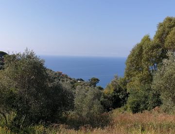 Foto 1 di 4 - Terreno edificabile in Vendita in Via Diano Calderina a Imperia