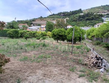Foto 1 di 14 - Terreno agricolo in Vendita in Via Roma a Vallecrosia