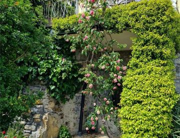 Giardino - Quadrilocale in Vendita in Via Mare 3 a Villa Faraldi