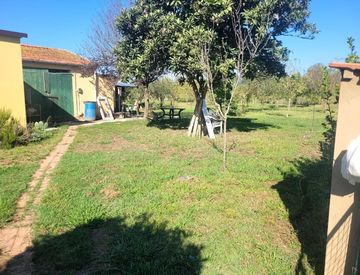Giardino - Casa indipendente in Vendita in Via delle Catene a San Giuliano Terme
