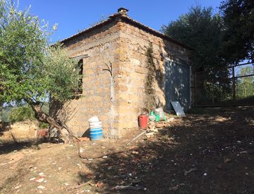 Foto 1 di 12 - Terreno agricolo in Vendita in Corso vocabolo piscicoli 14 a Giove