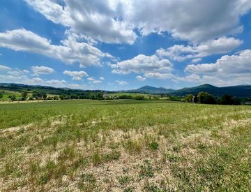 Vista - Terreno agricolo in Vendita in SP72 9 a Alvignano