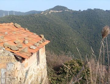 Foto 1 di 3 - Rustico, casale in Vendita in Strada Provinciale Sud a Ceriana
