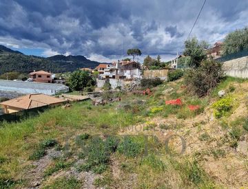 Foto 1 di 4 - Terreno agricolo in Vendita in Via Turistica 172 a Camporosso