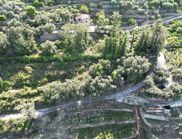 Foto 1 di 20 - Terreno agricolo in Vendita in Via Silvio Pellico 10 a Bordighera