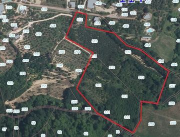 Foto 1 di 4 - Terreno agricolo in Vendita in Via Valdiranco a Montefiore Conca