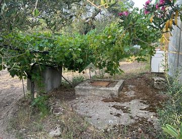 Giardino - Villa in Vendita in Vicinale Petraro a Barletta