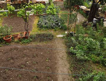 Giardino - Casa indipendente in Vendita in Vico Francesco Spizzirri a Catanzaro