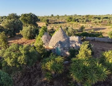 Giardino - Villa in Vendita in San C. Zerraglia a Polignano a Mare