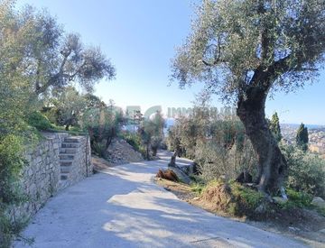 Foto 1 di 11 - Terreno agricolo in Vendita in Via Fanny Roncati Carli a Imperia